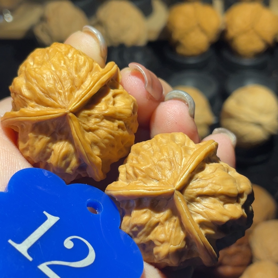 三棱35尺寸核桃。  