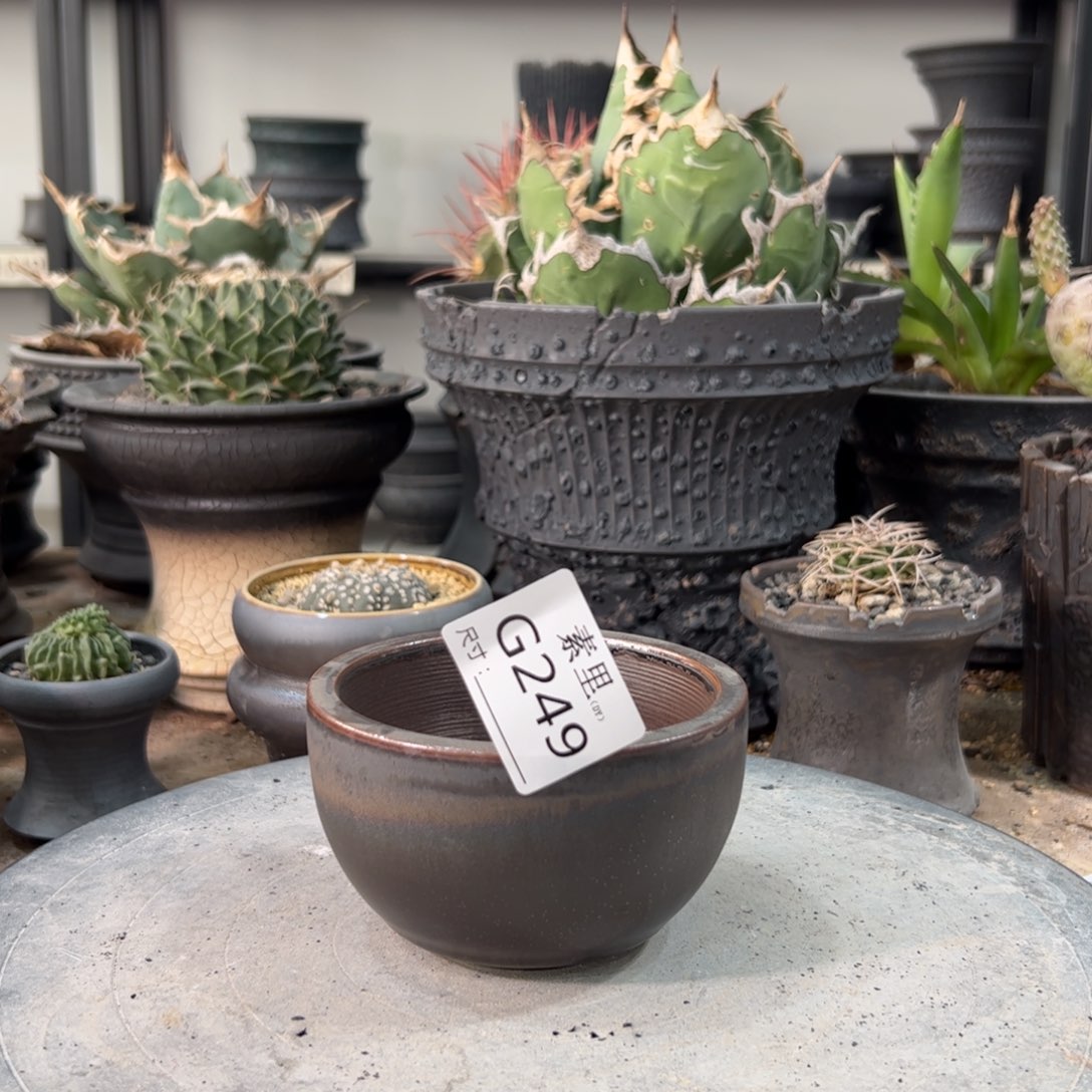 景德镇素里手工内口9高6