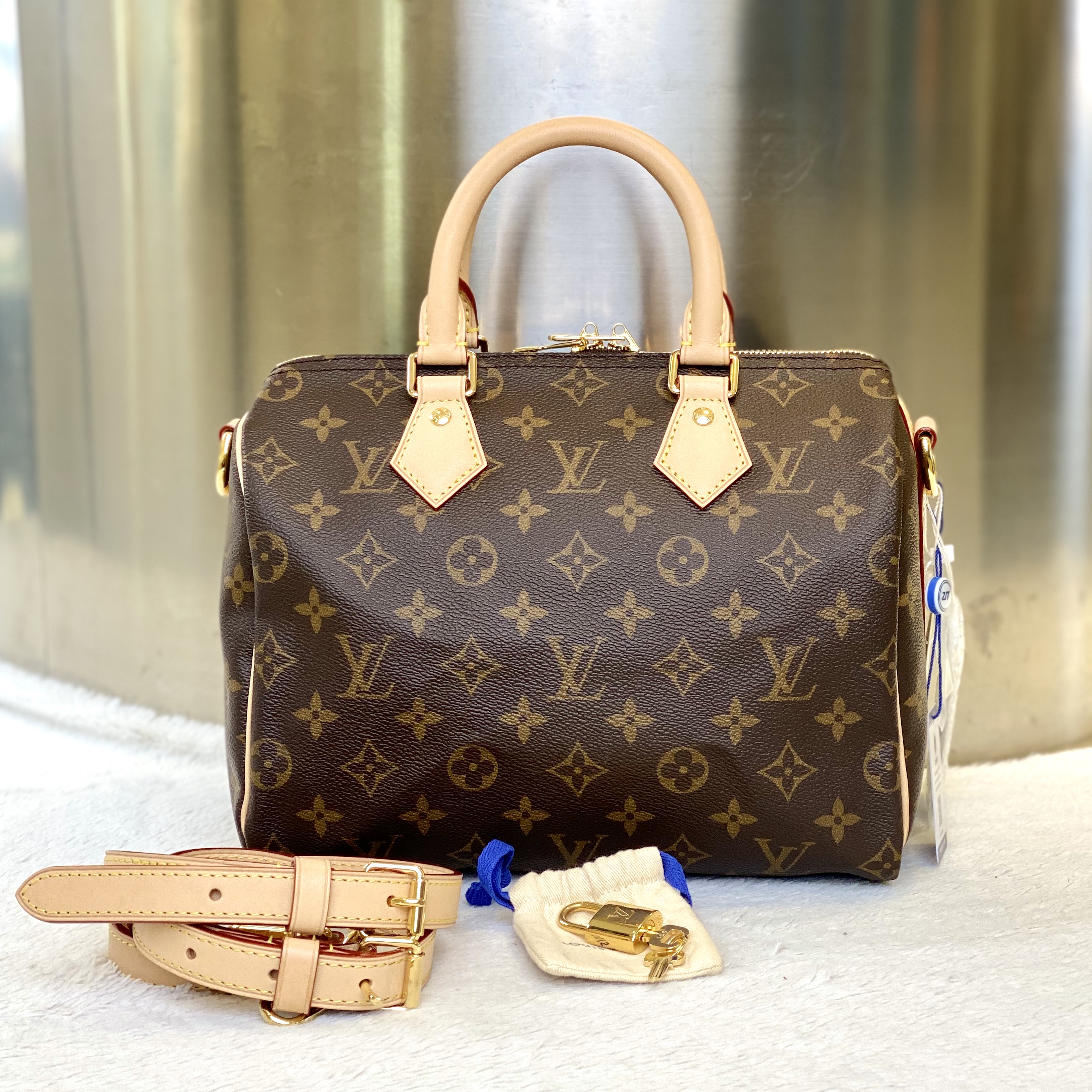 99新 LouisVuitton/路易威登 爱马99新LV新款枕头25肩带款2864