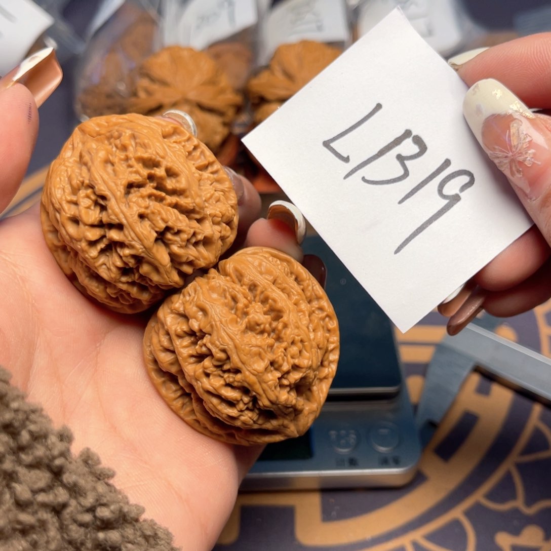 文玩核桃把件粗筋42