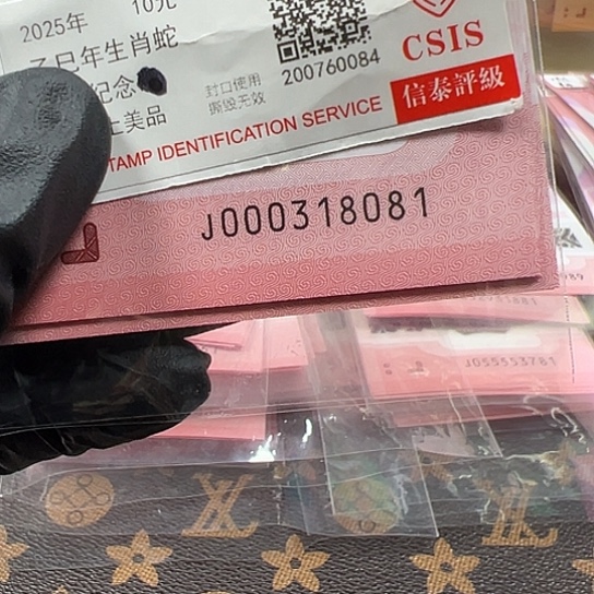 J000318081标十简易封装蛇