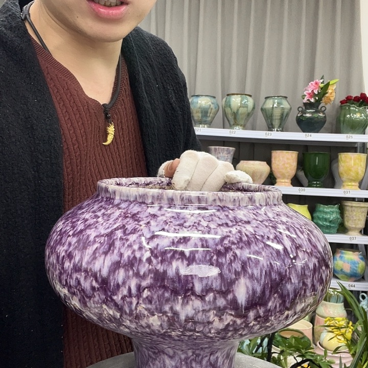 花盆里的小猫咪们都好可爱啊哈哈