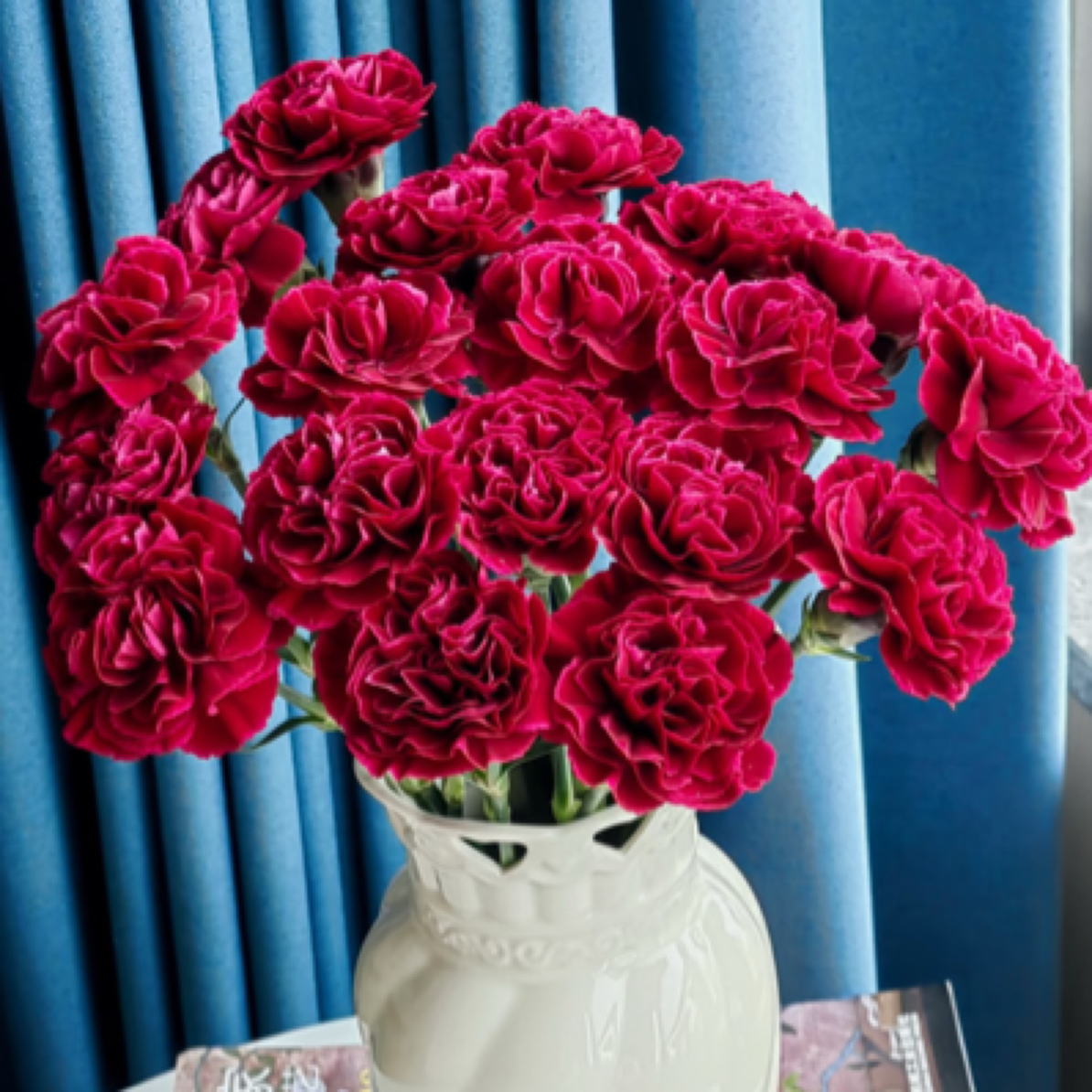 【稀有康乃馨】红绸20支