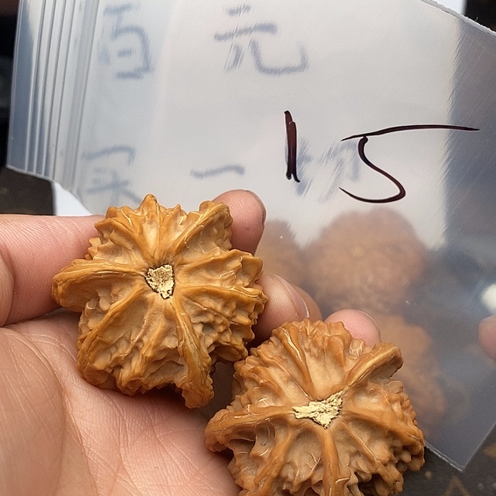 吊坠文玩核桃绿色的老师了热搜了可怕上课的老师
