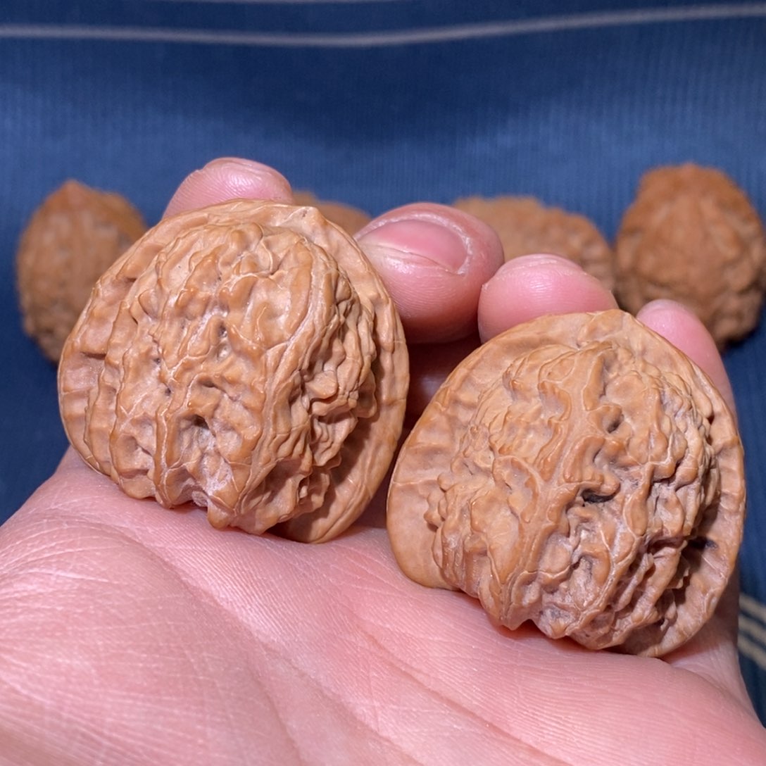 L****a38尺 全品无修 白茬 三角白