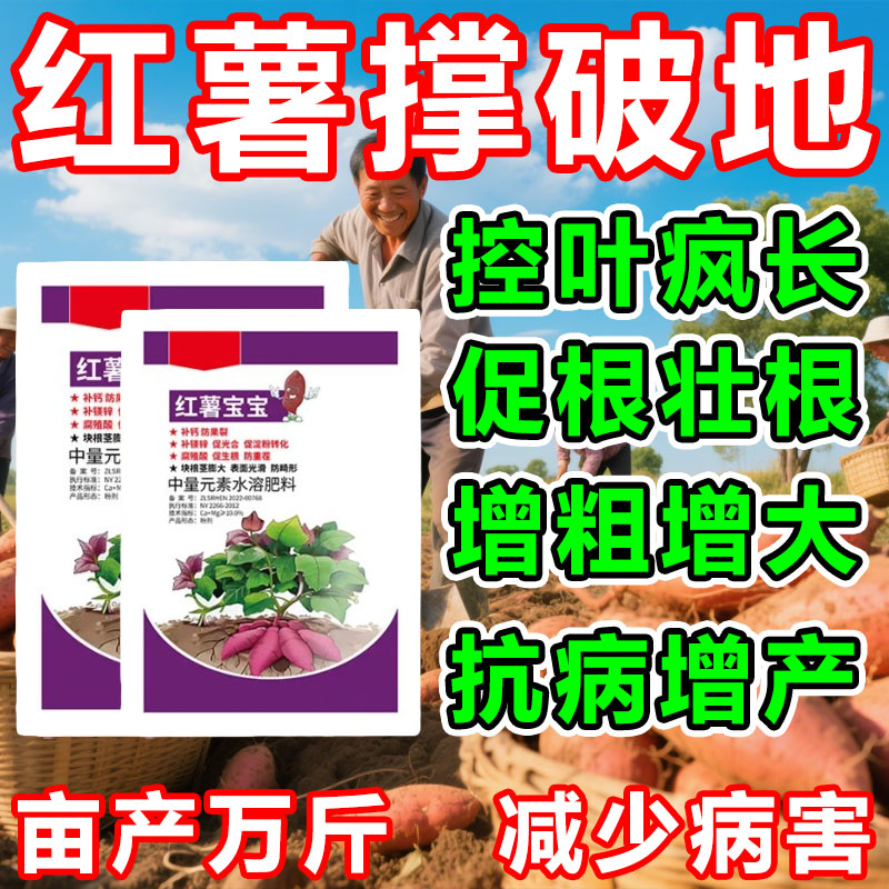 红薯宝宝补钙补镁微生物正品菌剂增粗防裂果防畸形膨大水溶肥料