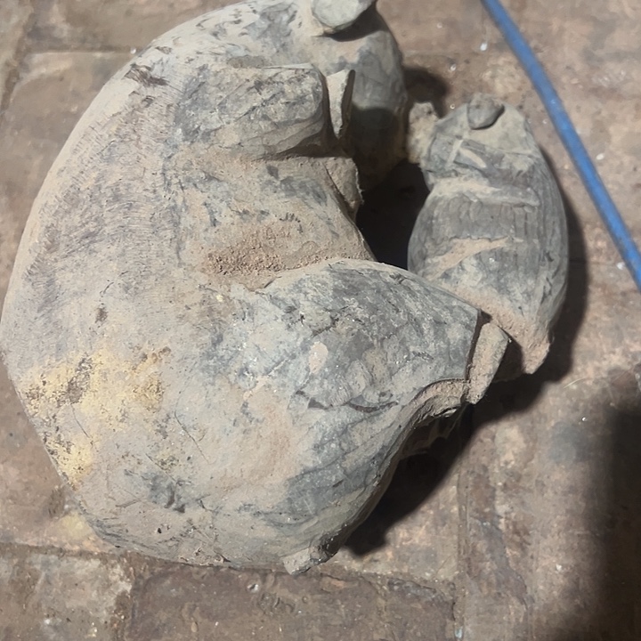 香榧木888888888888