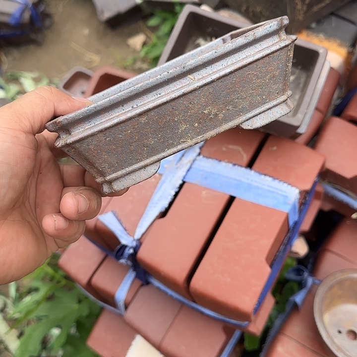 一定很有成就感我在努力生活