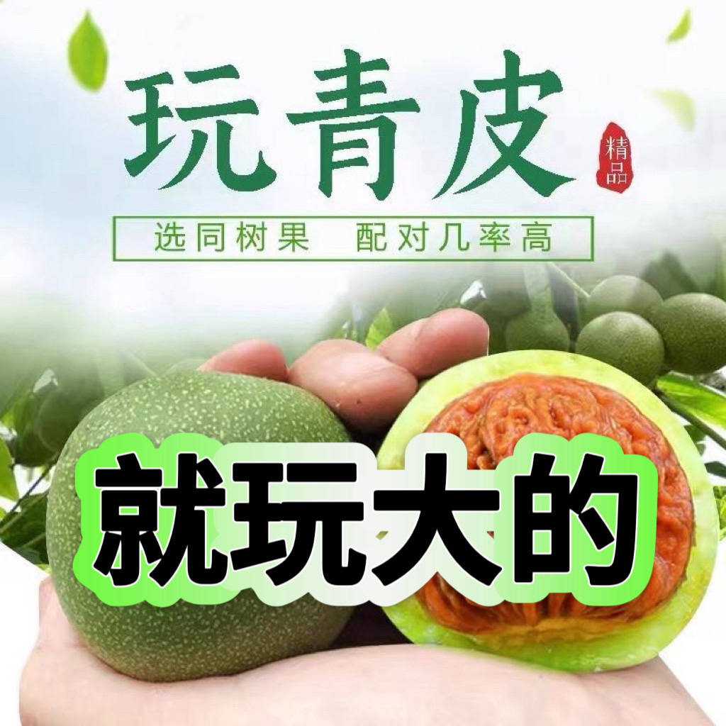 异性葫芦小鸟青皮--文玩核桃--同树果配对高
