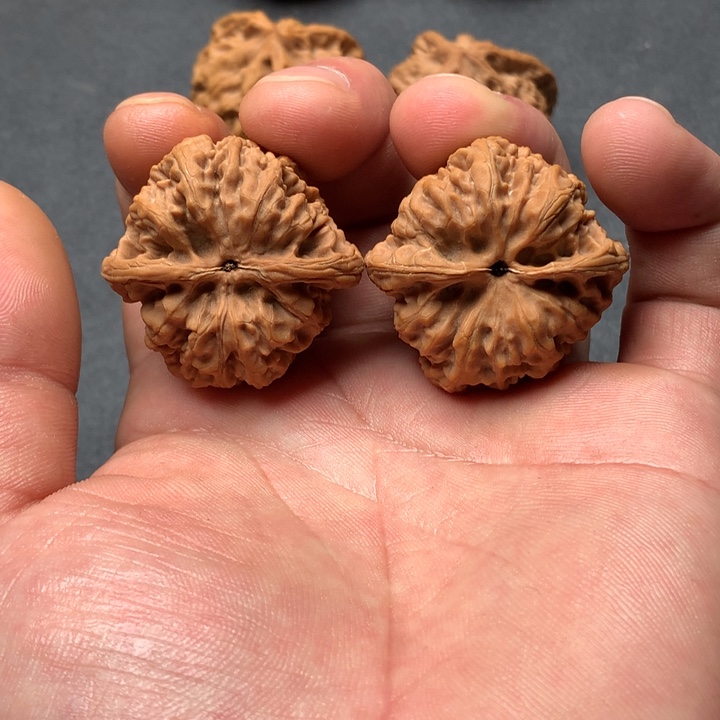 何***秋文玩核桃吊坠紫荆关野牛文玩核桃
