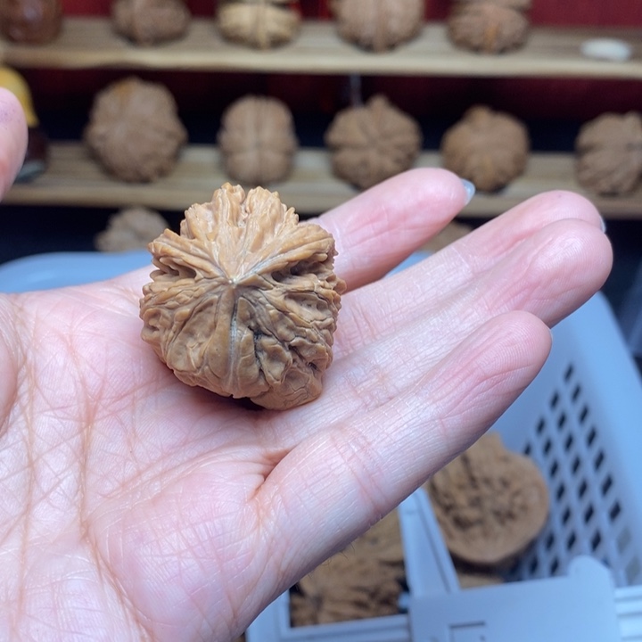 善***慧把件文玩核桃文玩