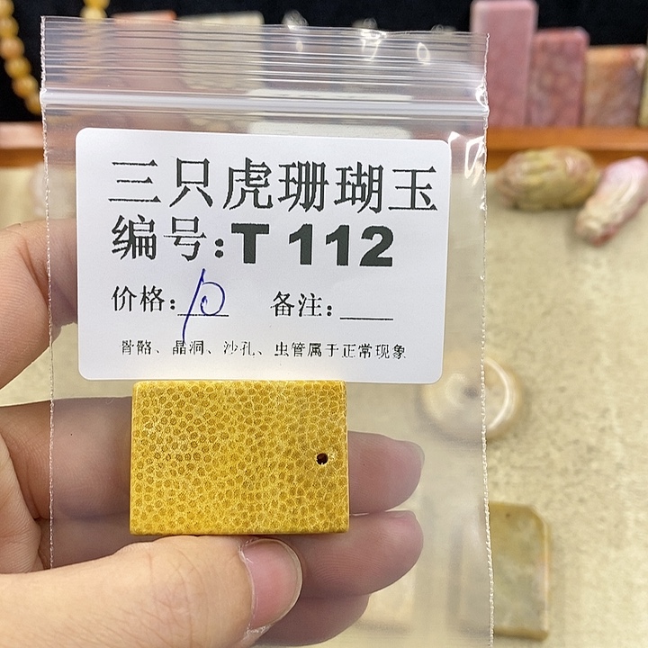 硅化珊瑚（珊瑚玉）1未镶嵌白*