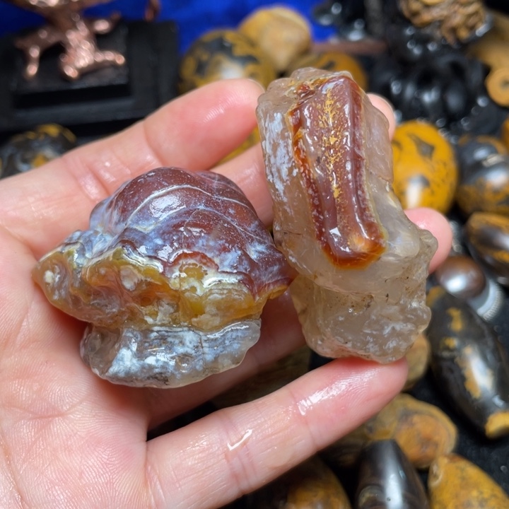石材纯天然奇石原石107