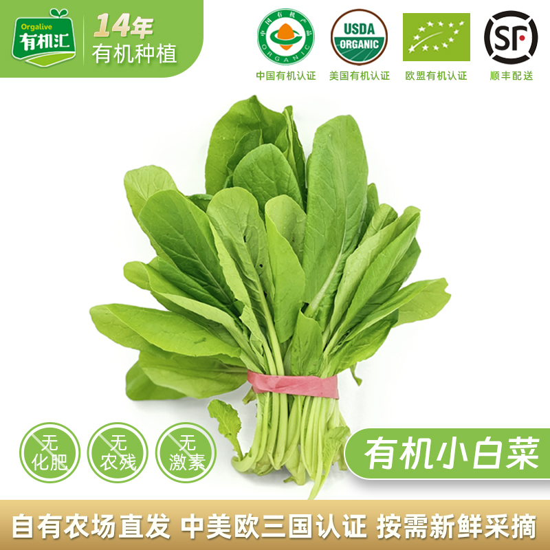 有机汇四季小白菜新鲜蔬菜有机蔬菜配送杭白菜小青菜火锅菜500g