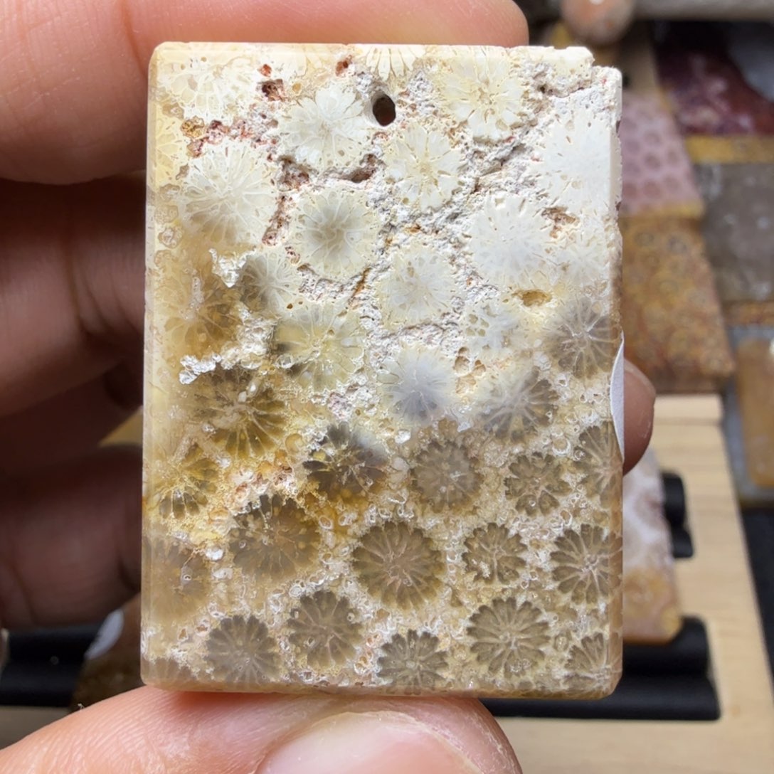 硅化玉未镶嵌纯天然色有机玉石保真色