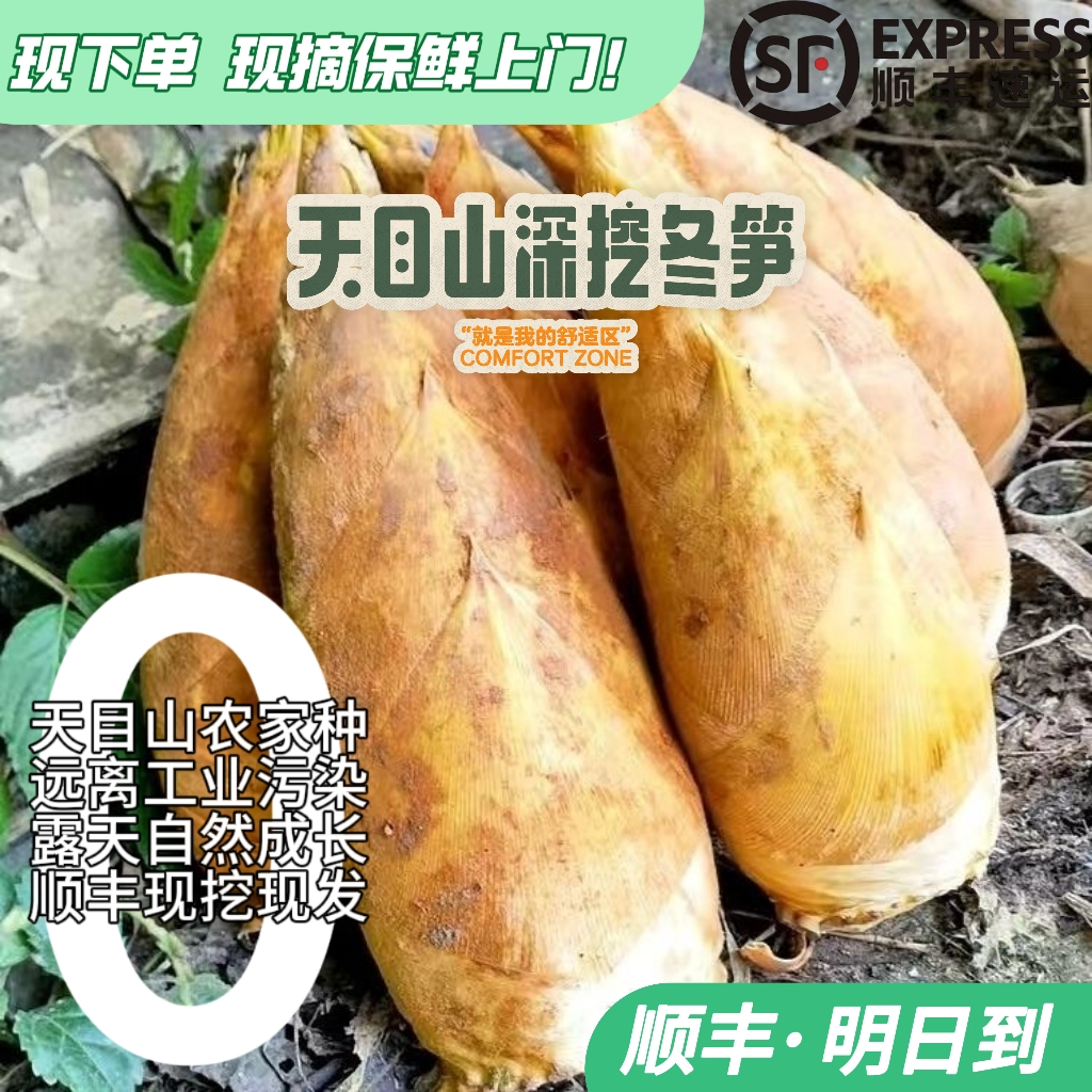 【顺丰闪电发货】新鲜天目山深挖冬笋去根新鲜冬笋