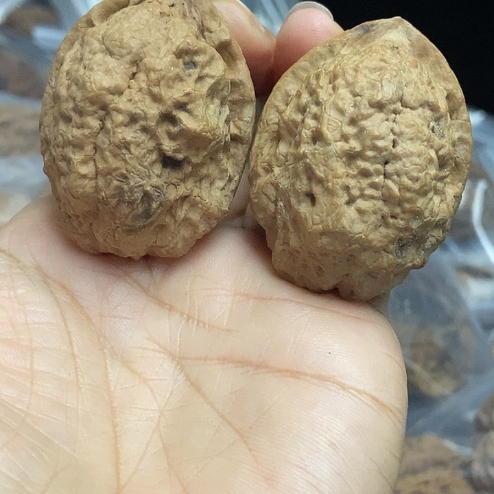 木质类云南铁核桃+57