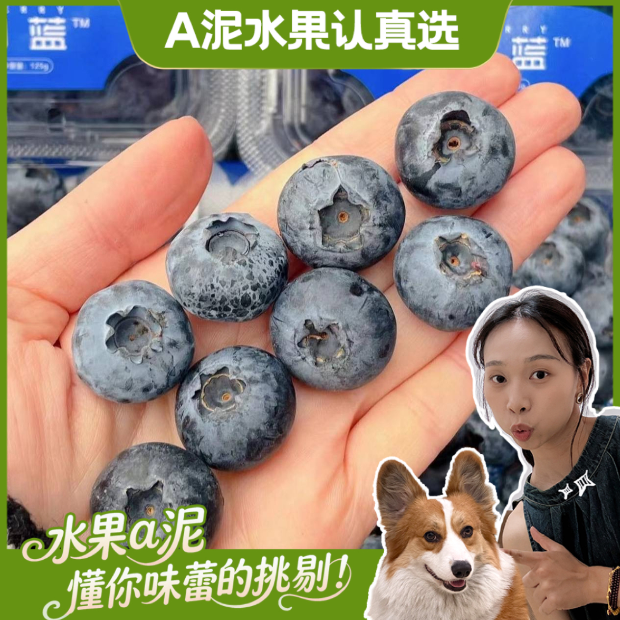 四川晴山蓝莓一口爆浆 18mm+ 香脆甜花香味浓【坏果包赔+顺丰包邮】