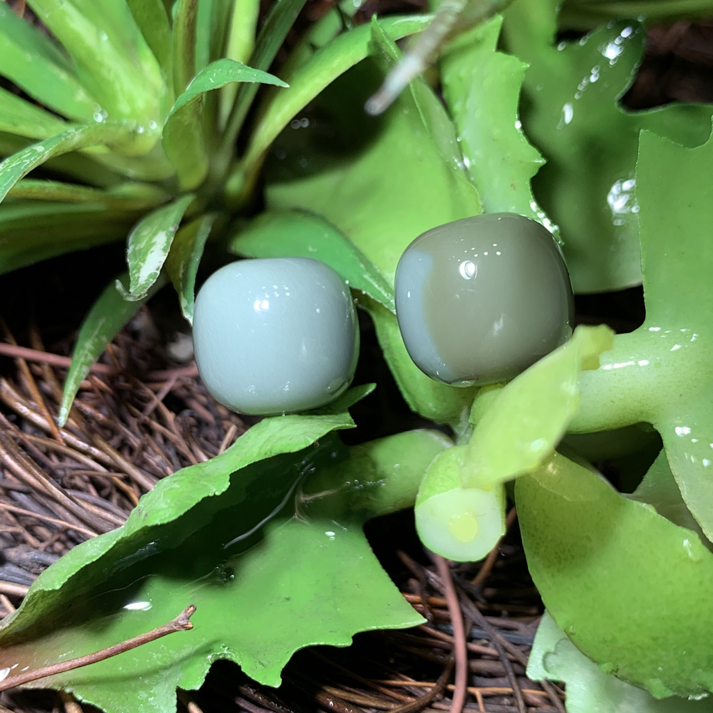 新疆和田玉沙枣青老型珠卡12*13一颗1099