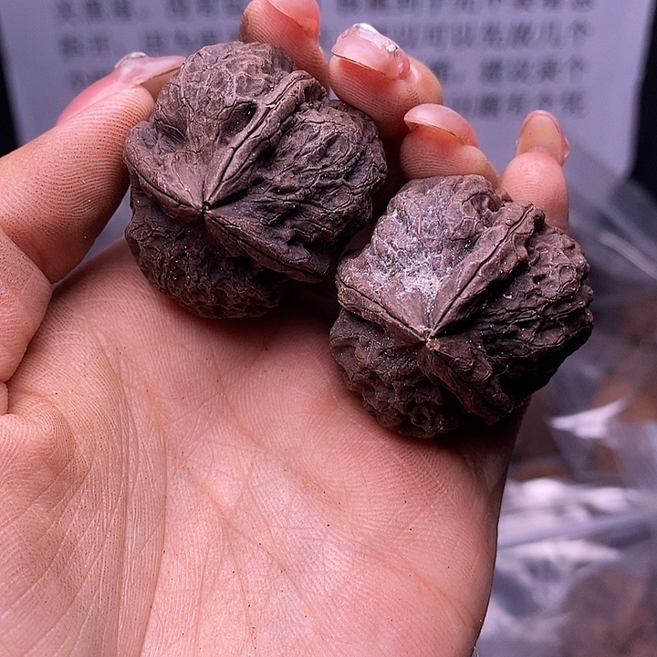 核桃云南野生铁核桃182号35mm