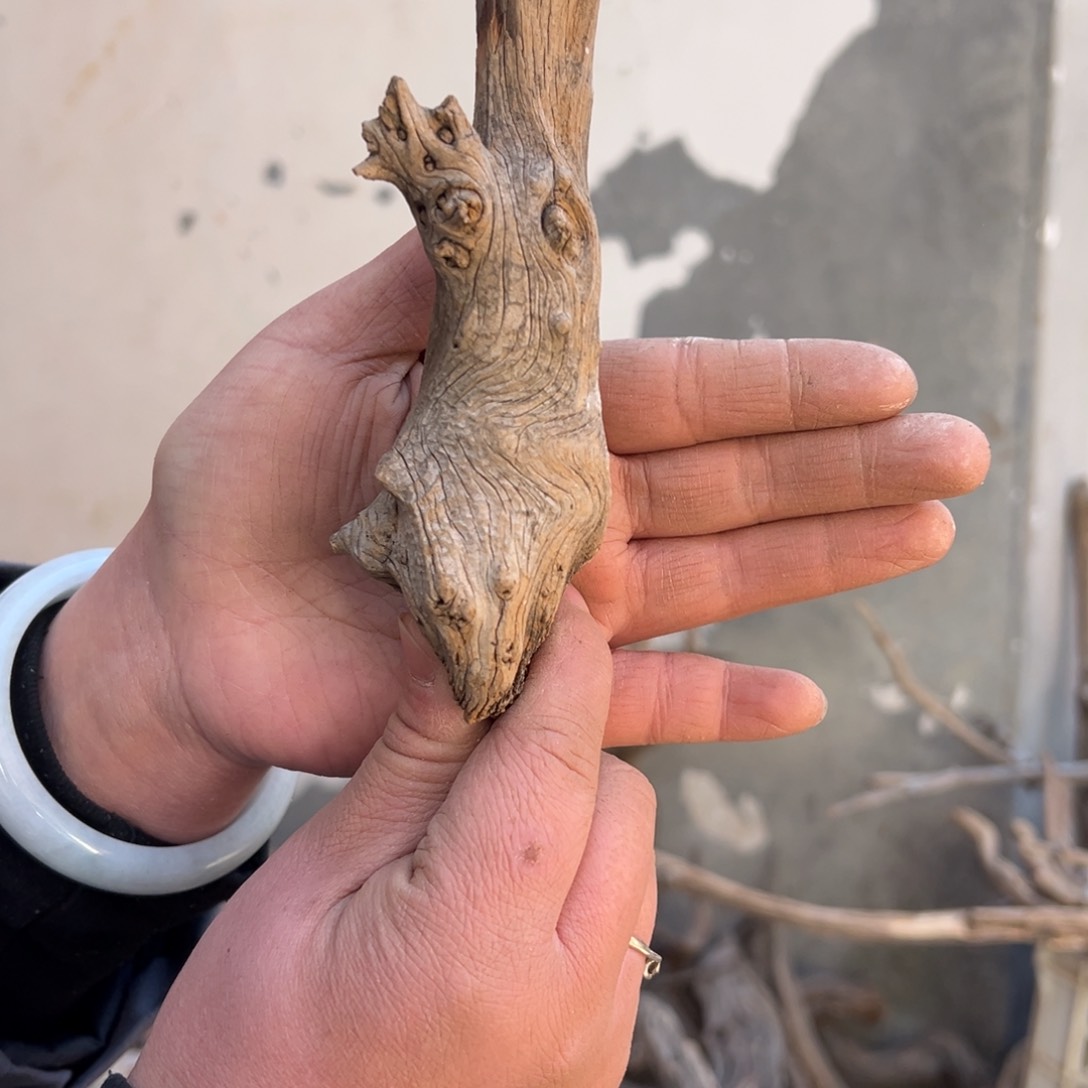 柏木（崖柏）༺****文玩崖柏