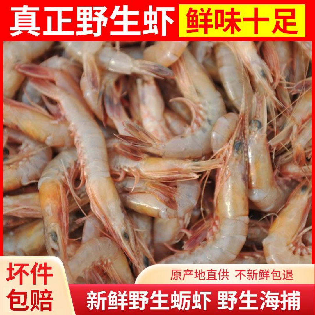 青岛野生海捕新鲜蛎虾色虾鹰爪虾海虾鸡爪虾红虾立虾顺丰包邮3斤