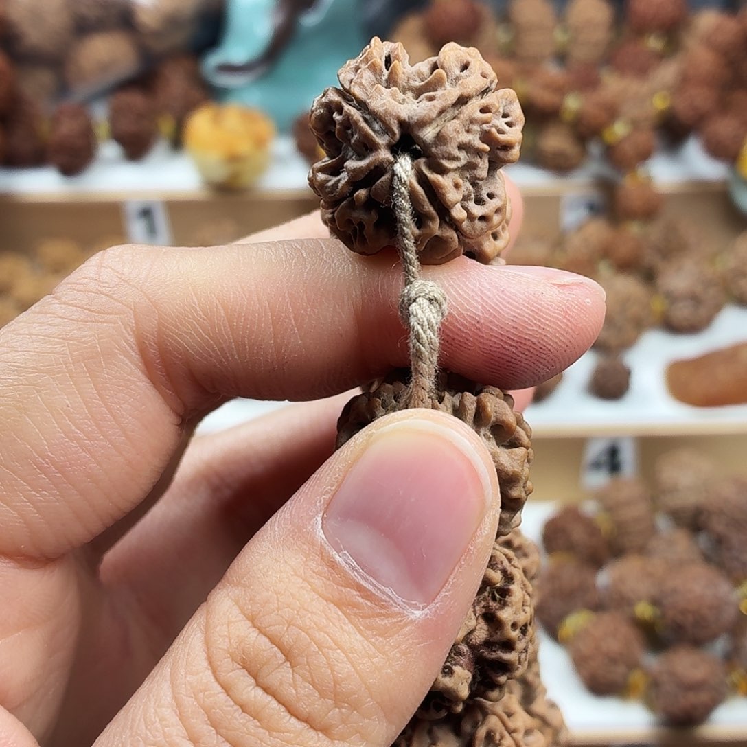 金刚菩提手串稀有精品4瓣蜂窝双龙