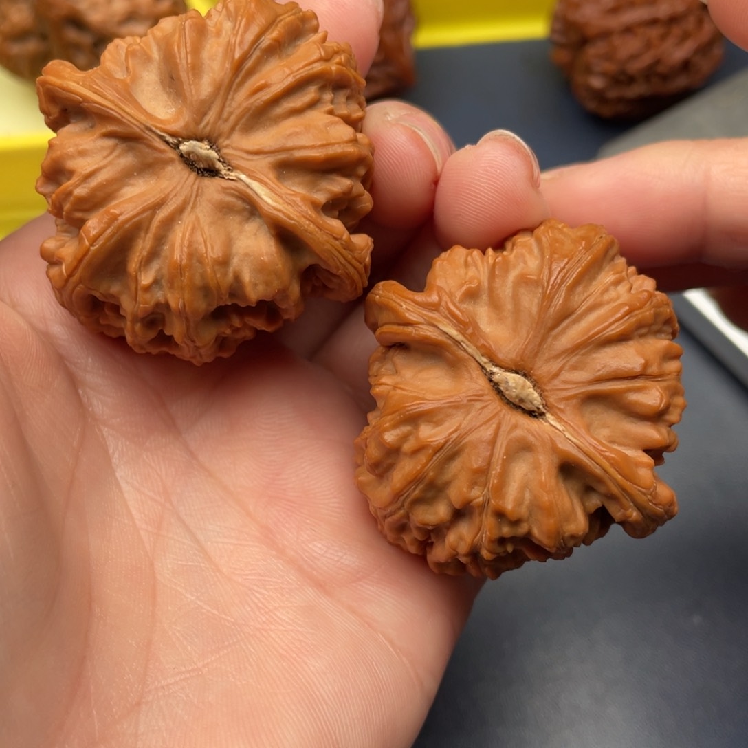 文玩核桃把件S****n白狮子42