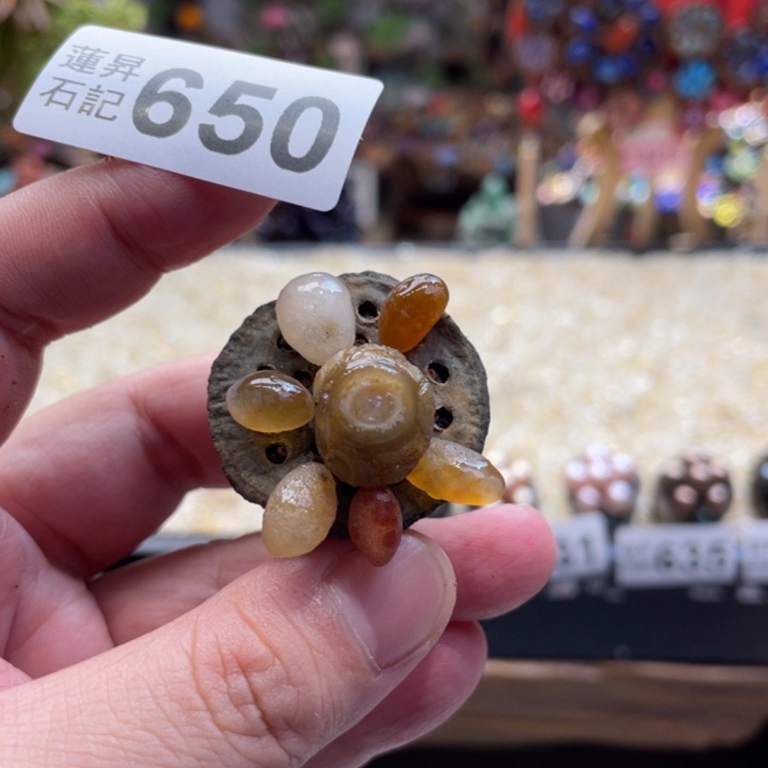 核桃木/黑胡桃（胡桃木）650