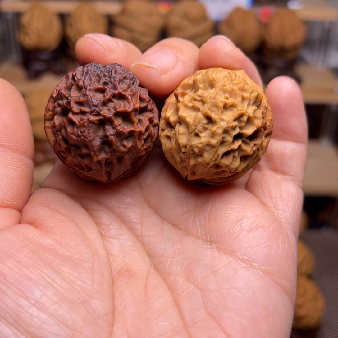 糖***宝把件文玩核桃2w阴阳珊瑚纹绣球37尺