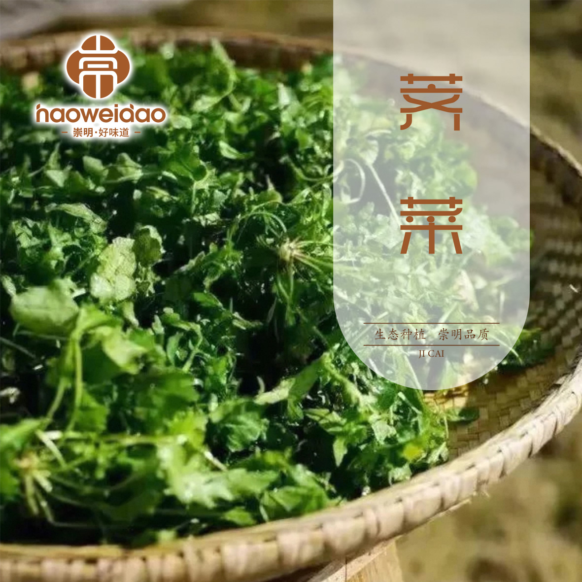 崇明好味道 | 崇明荠菜2斤装  新鲜采摘 顺丰到家