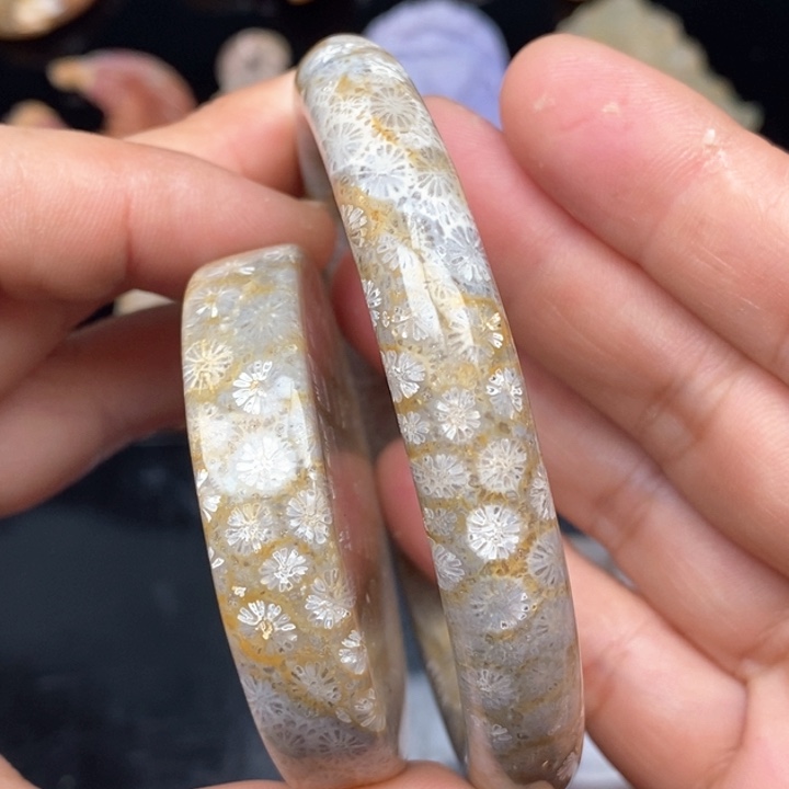 硅化珊瑚（珊瑚玉）手镯未镶嵌59