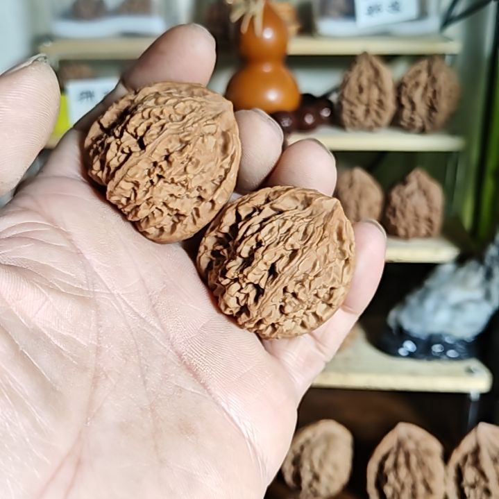 41加尺寸，黄金甲南疆石