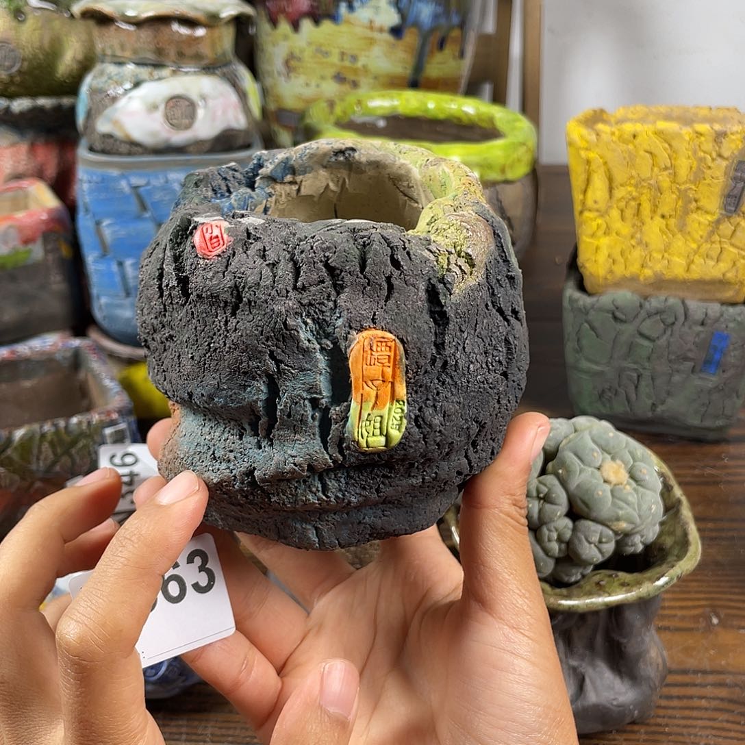 默认微次  限时福利 坛子姐花盆