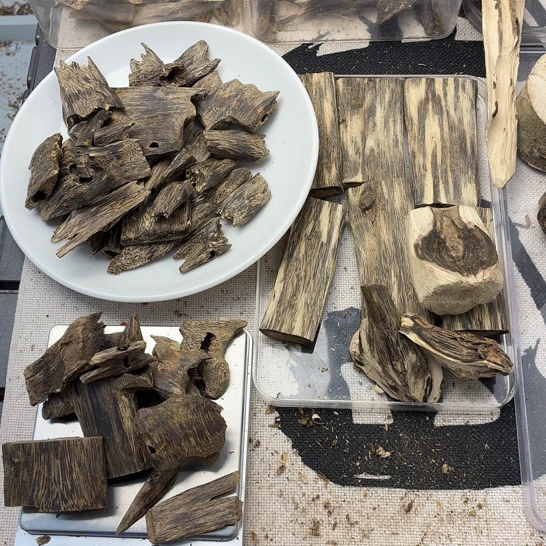 块料54克包邮到家开播福利