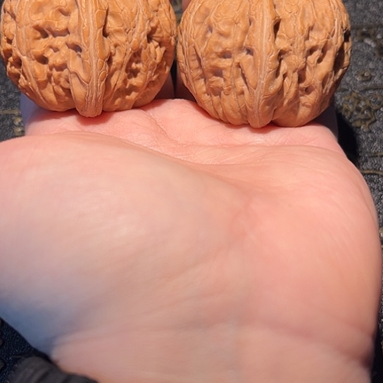 @***秦手串/手链核桃43 元宝