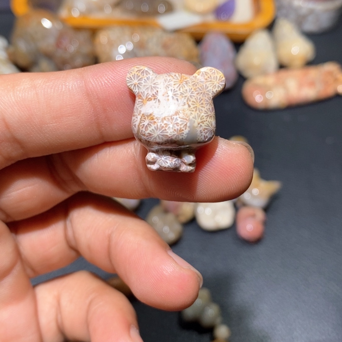 【闪购商品】硅化玉颈饰未镶嵌