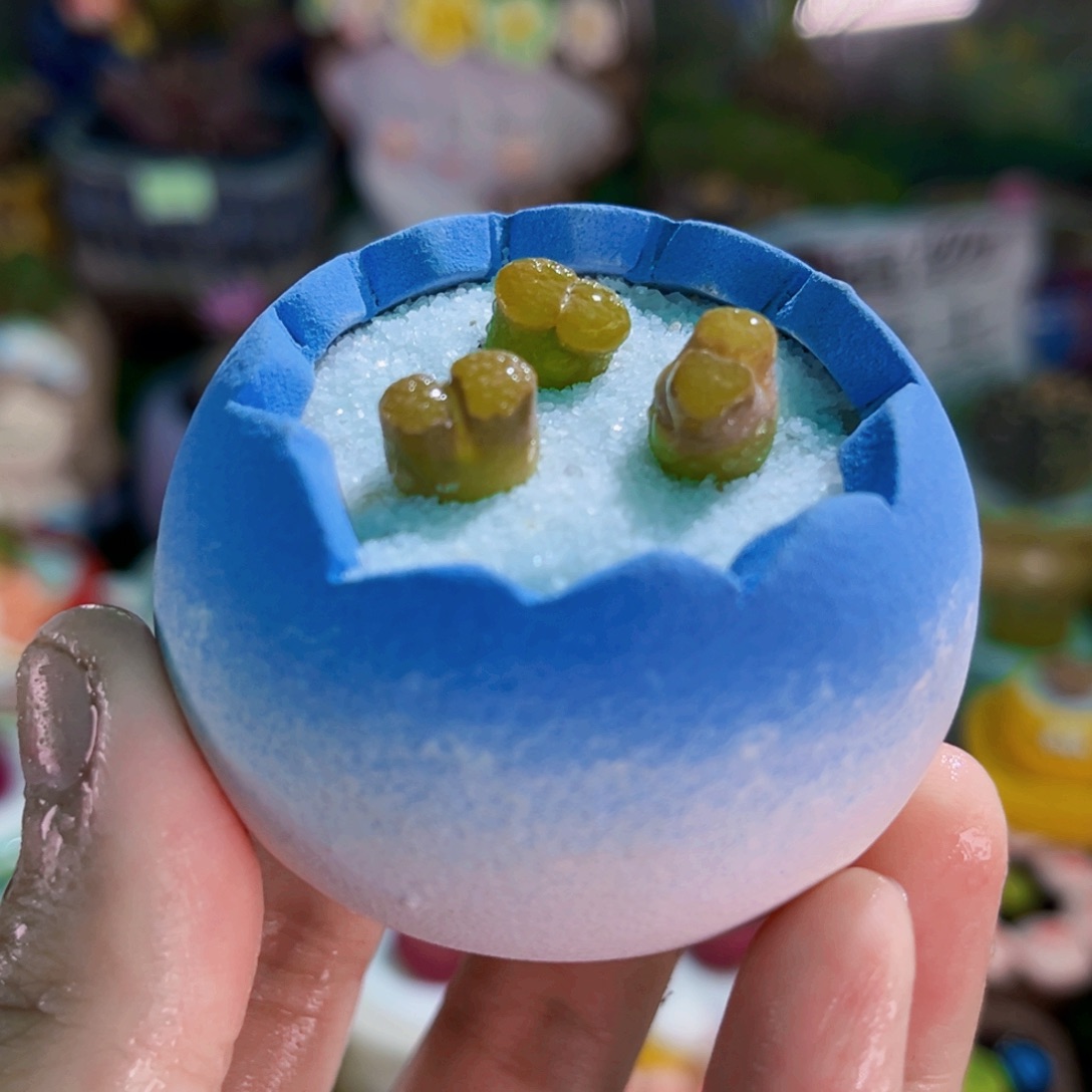 011三颗磁铁风铃连盆带土包邮