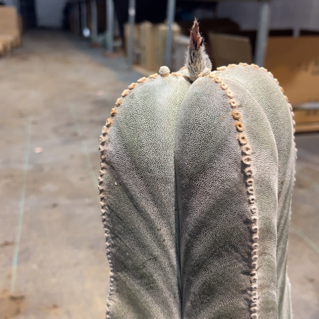 L***M哈哈哈哈哈哈哈哈