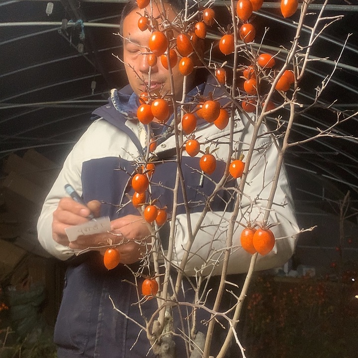 信***仰无花朵我们的目标