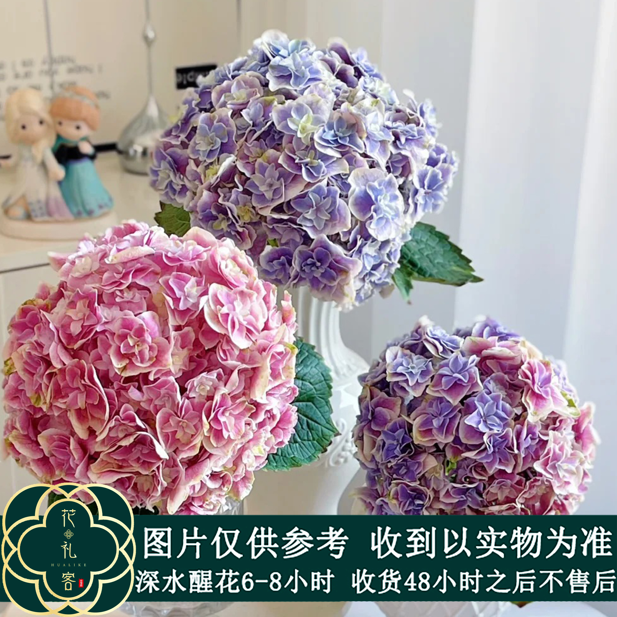 七叶花坊# 【兰楹绣球】鲜花优选 顺丰直发