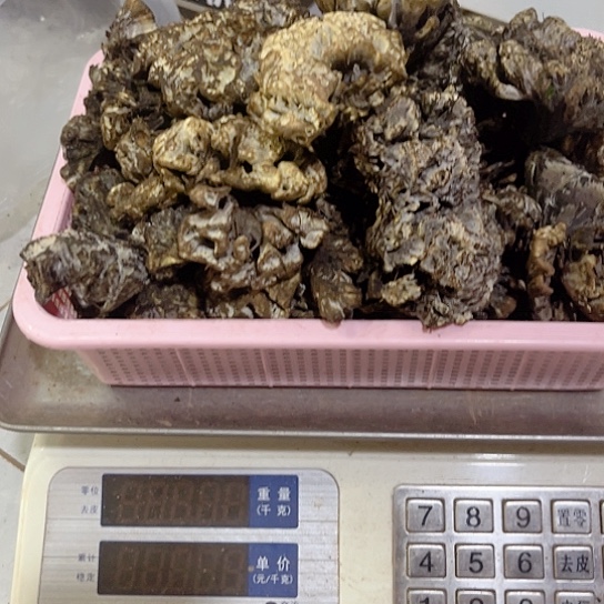 鸡纵超好吃中国大陆