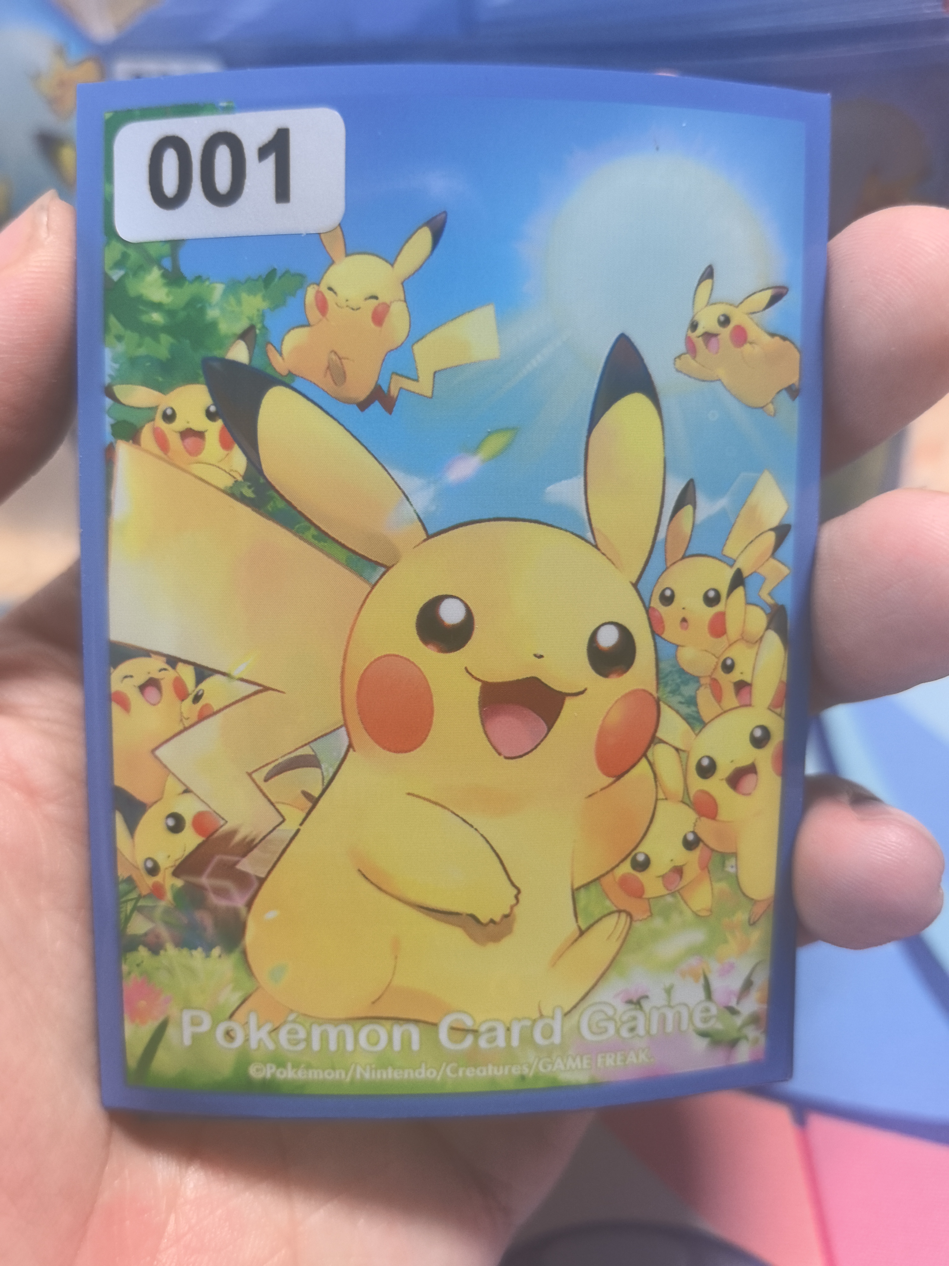 ptcg皮卡丘卡套福袋