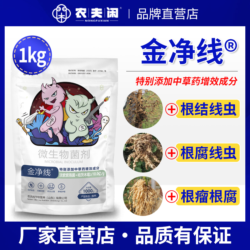 根结线虫根瘤根腐烂药黄瓜烟叶根瘤线虫药农用淡紫拟青霉大棚专用