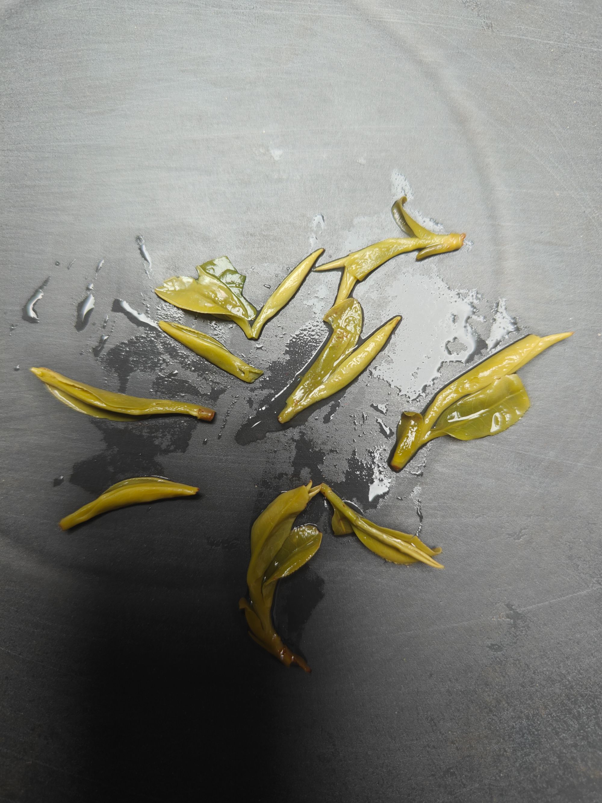 2025新茶春茶龙井②