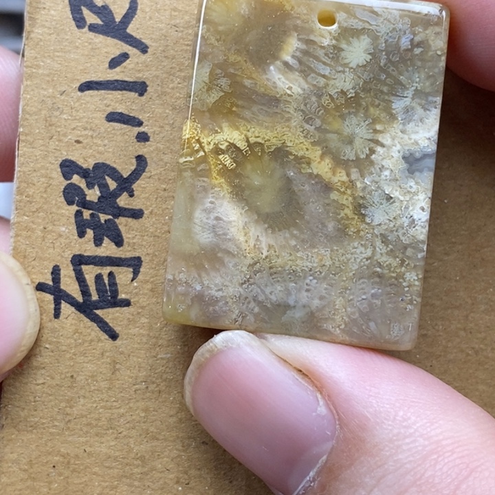 硅化珊瑚（珊瑚玉）未镶嵌颈饰