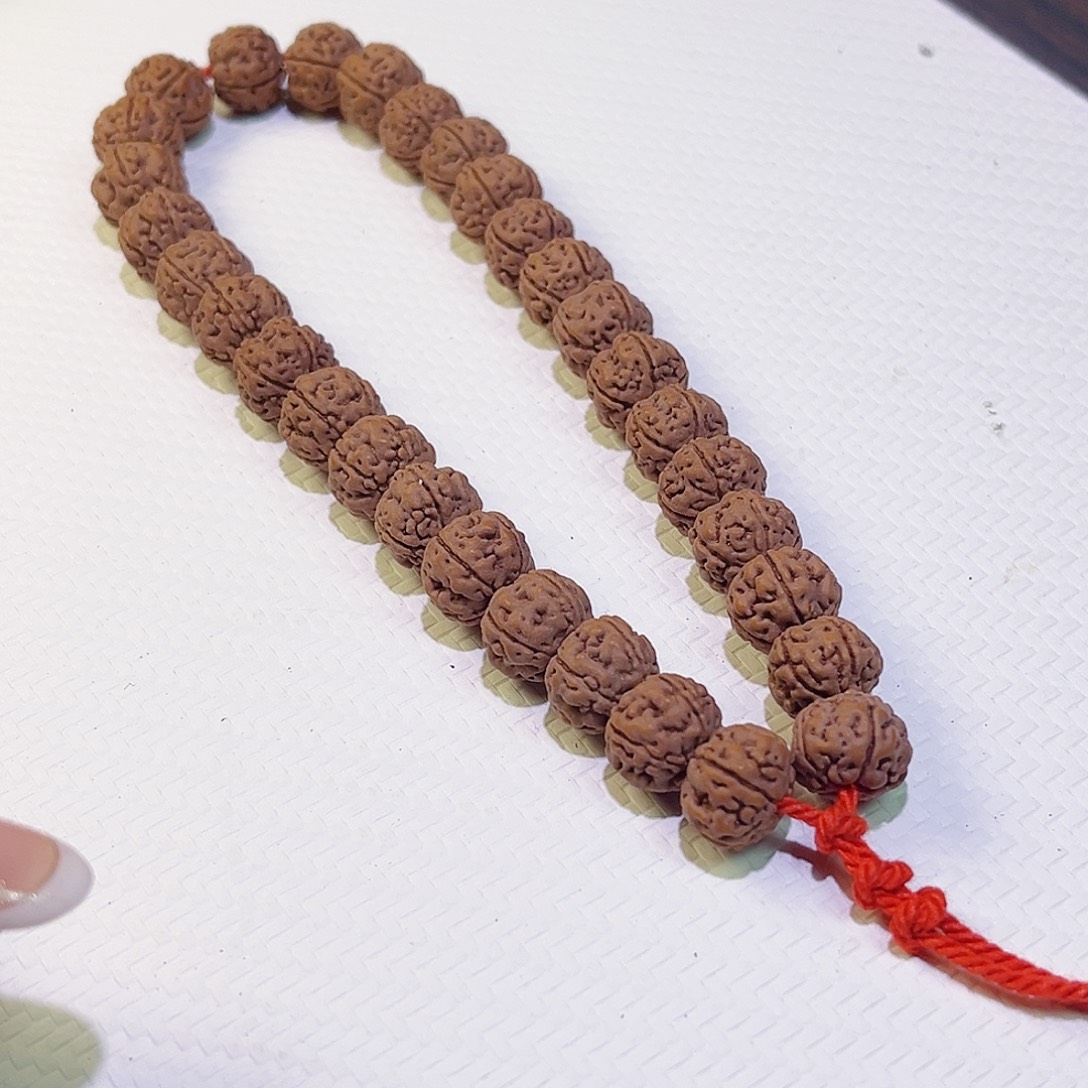 金刚菩提手串勿里达纯血老树王10