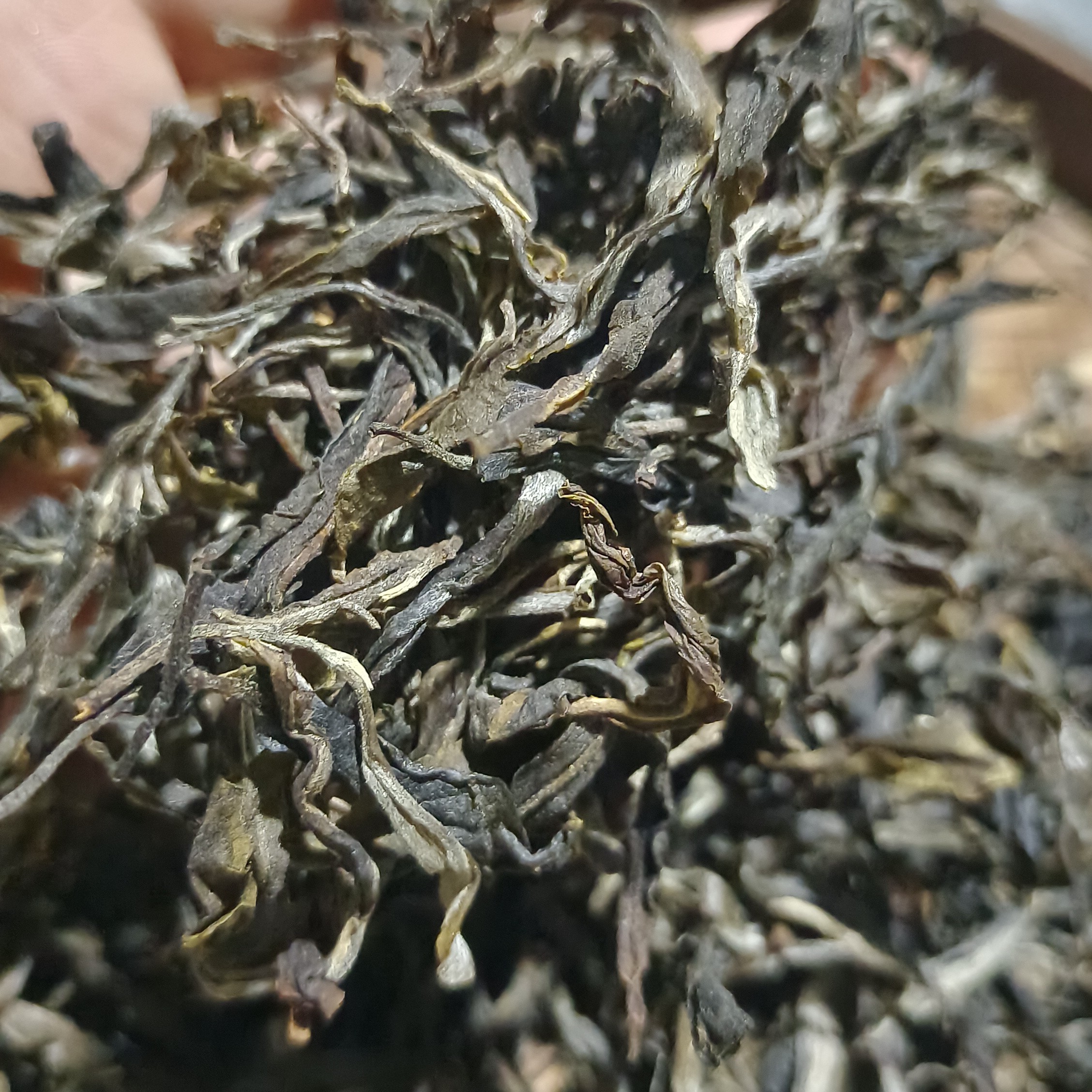 2022坝气山古树生茶散料