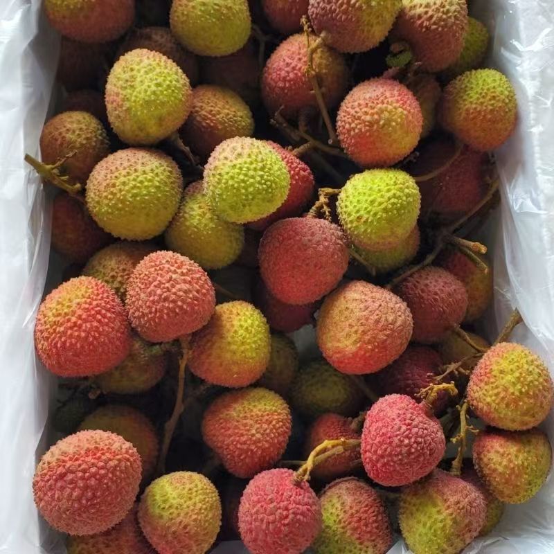 广东阳江妃子笑荔枝  核小肉厚 清甜多汁 产地直发