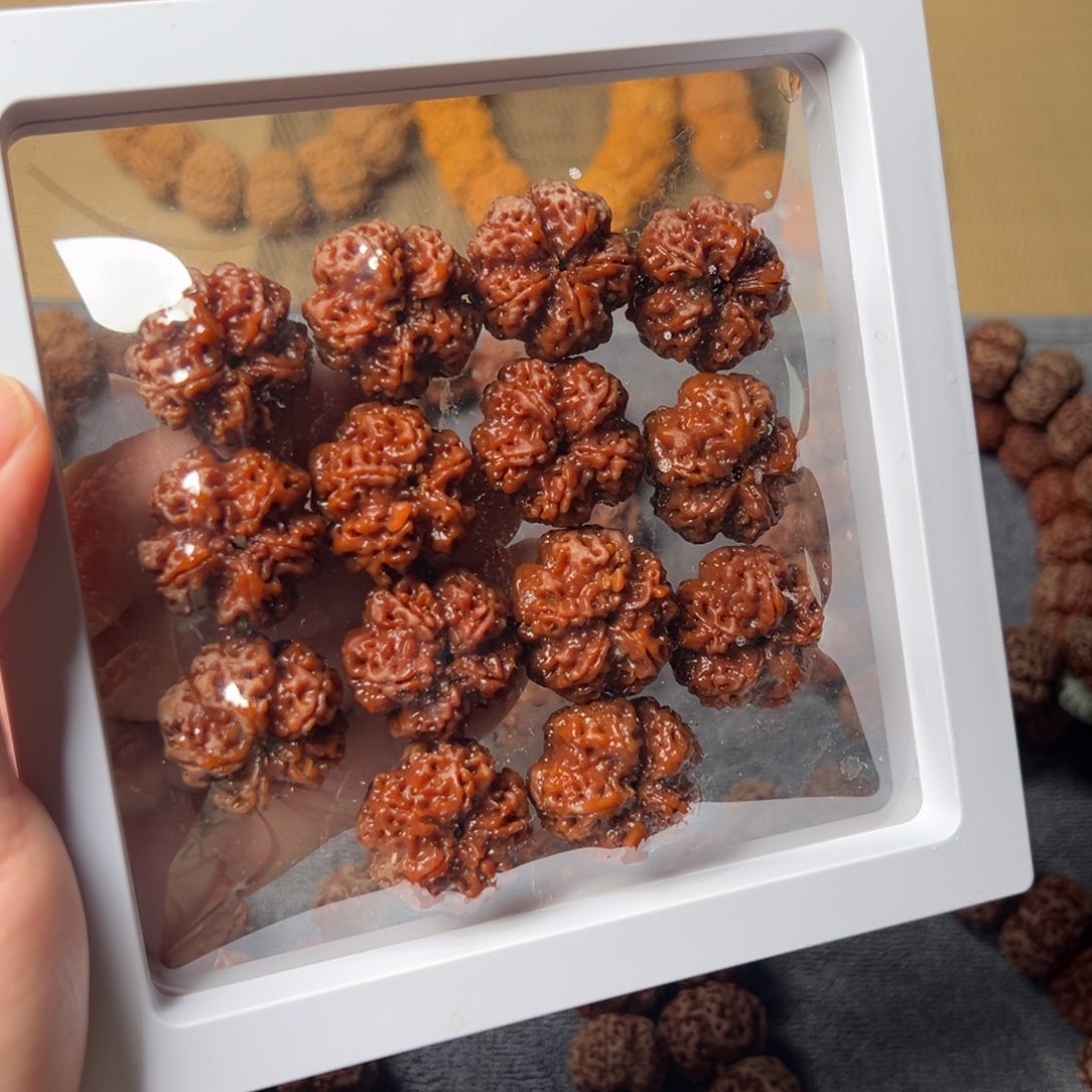 金刚菩提手串26尺寸傲梅次超头